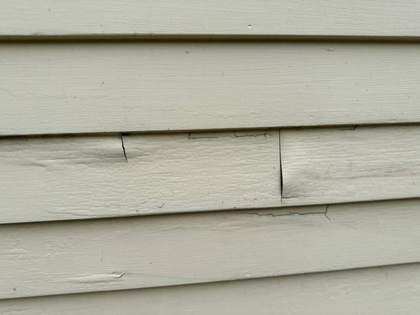 Affordable Siding Repair and Maintenance Services in Wiggins, MS